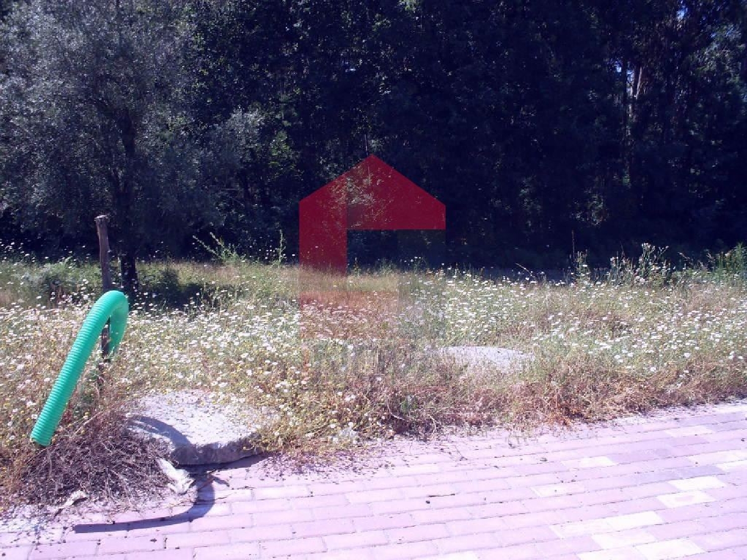  kaufen Grundstück Cervães Vila Verde 1