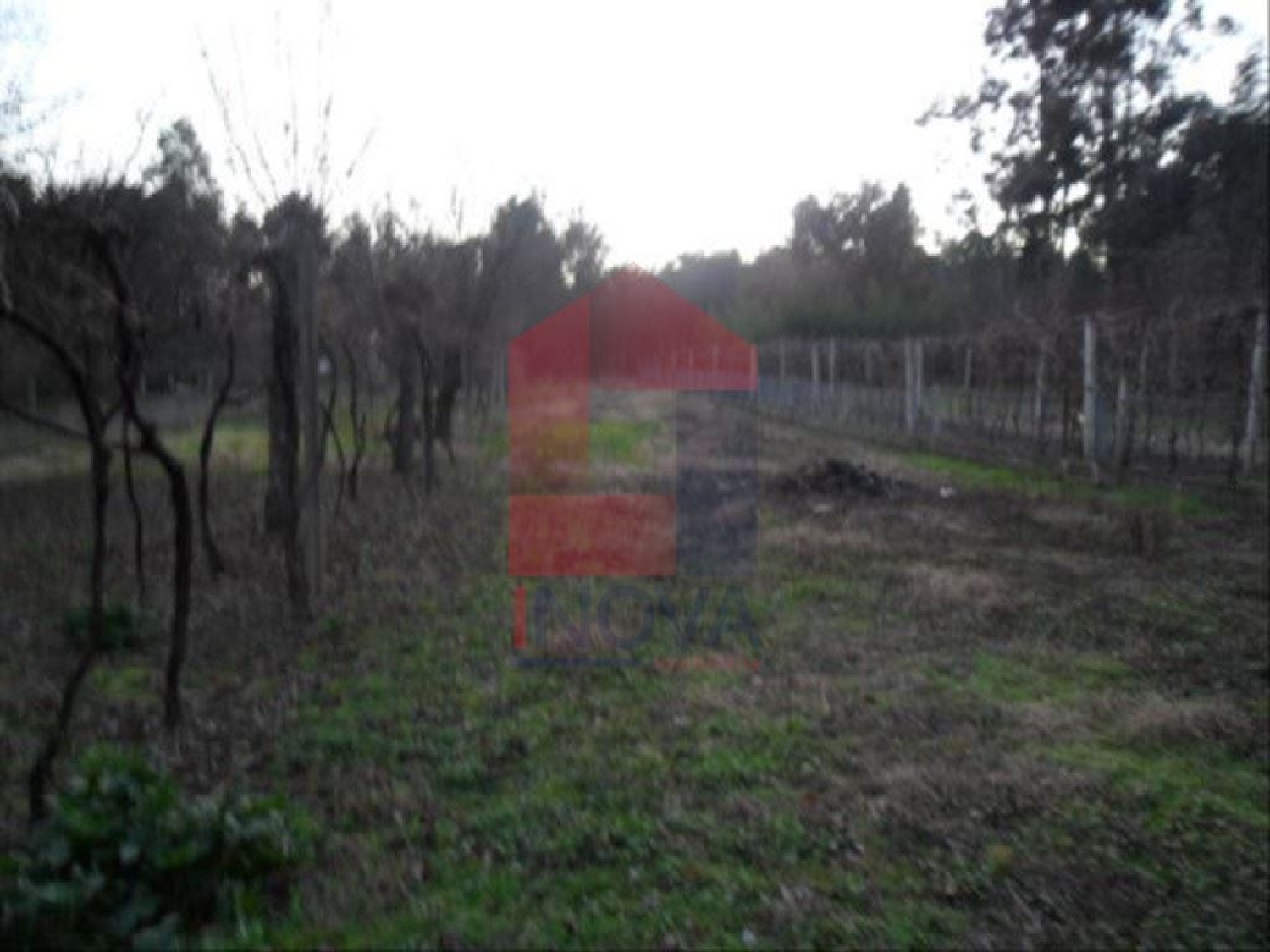 à venda terreno Cervães Vila Verde 3