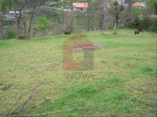 Cervães Vila Verde terrain foto 325871