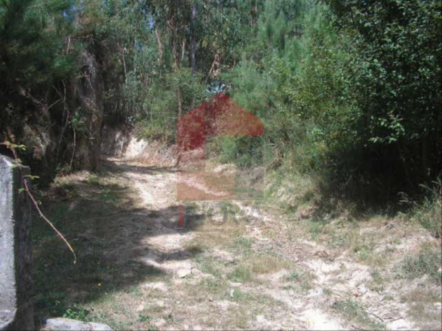  te koop terrein Cervães Vila Verde 1