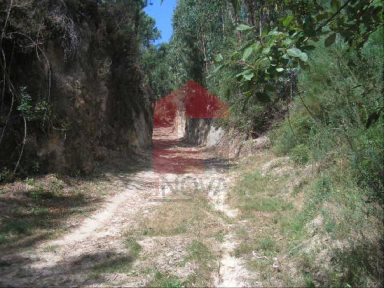 te koop terrein Cervães Vila Verde 2