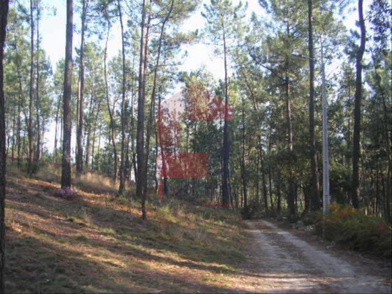  te koop terrein Cervães Vila Verde 1