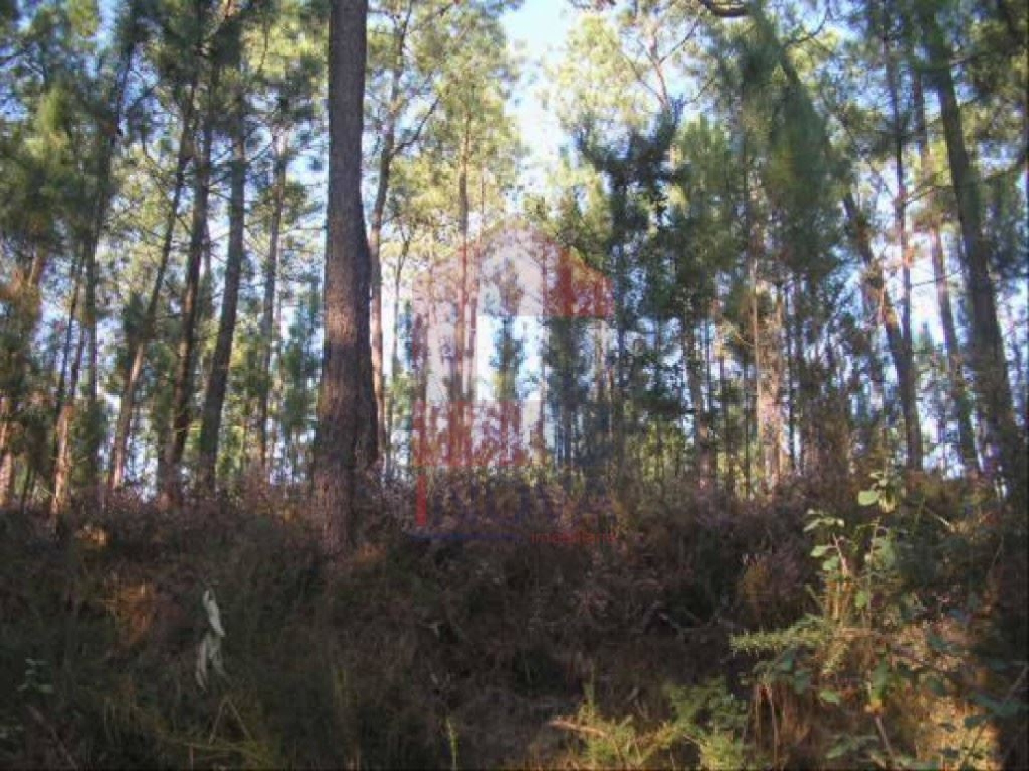 te koop terrein Cervães Vila Verde 2