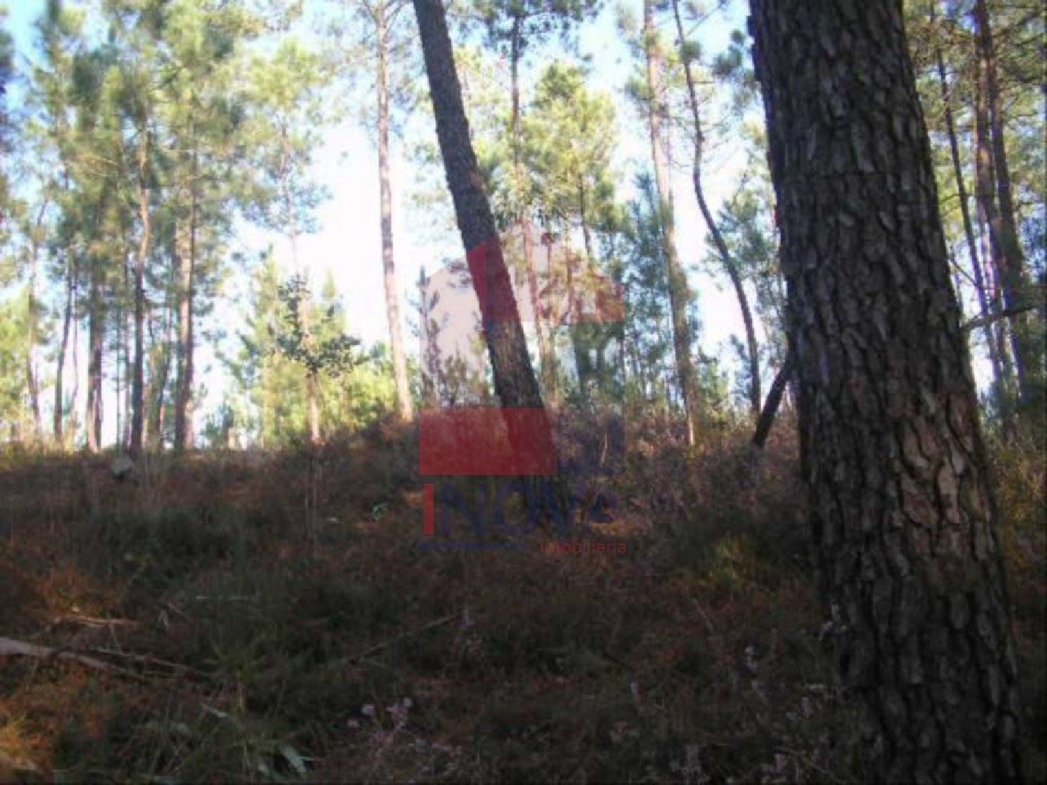 te koop terrein Cervães Vila Verde 3