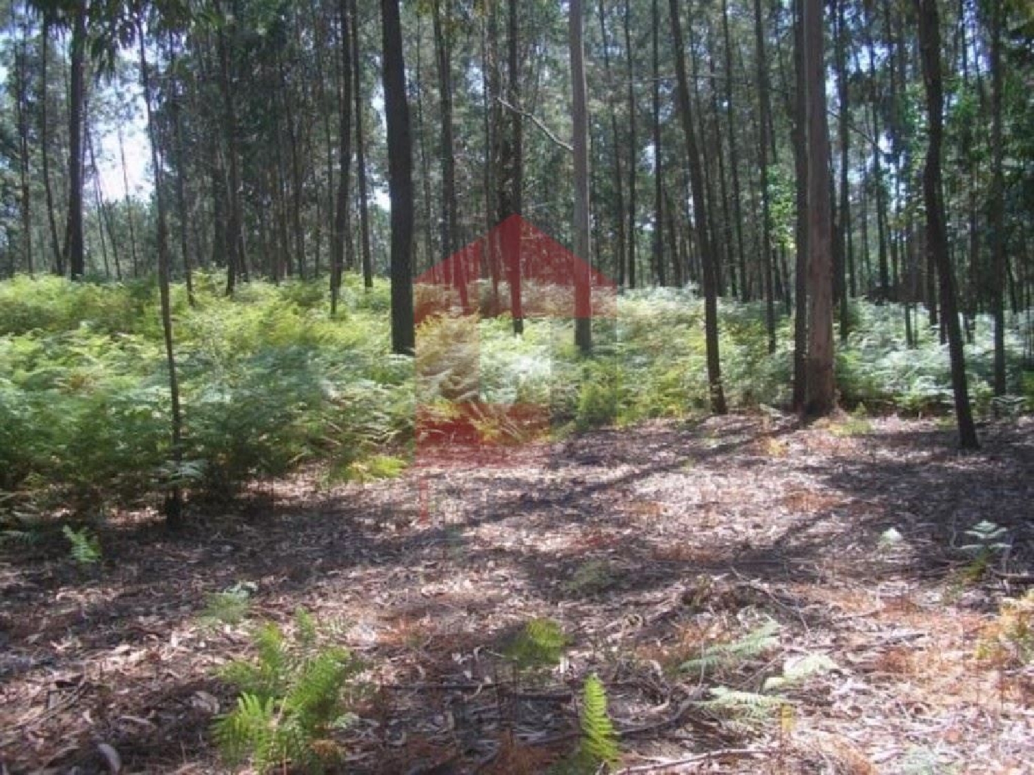  te koop terrein Cervães Vila Verde 1
