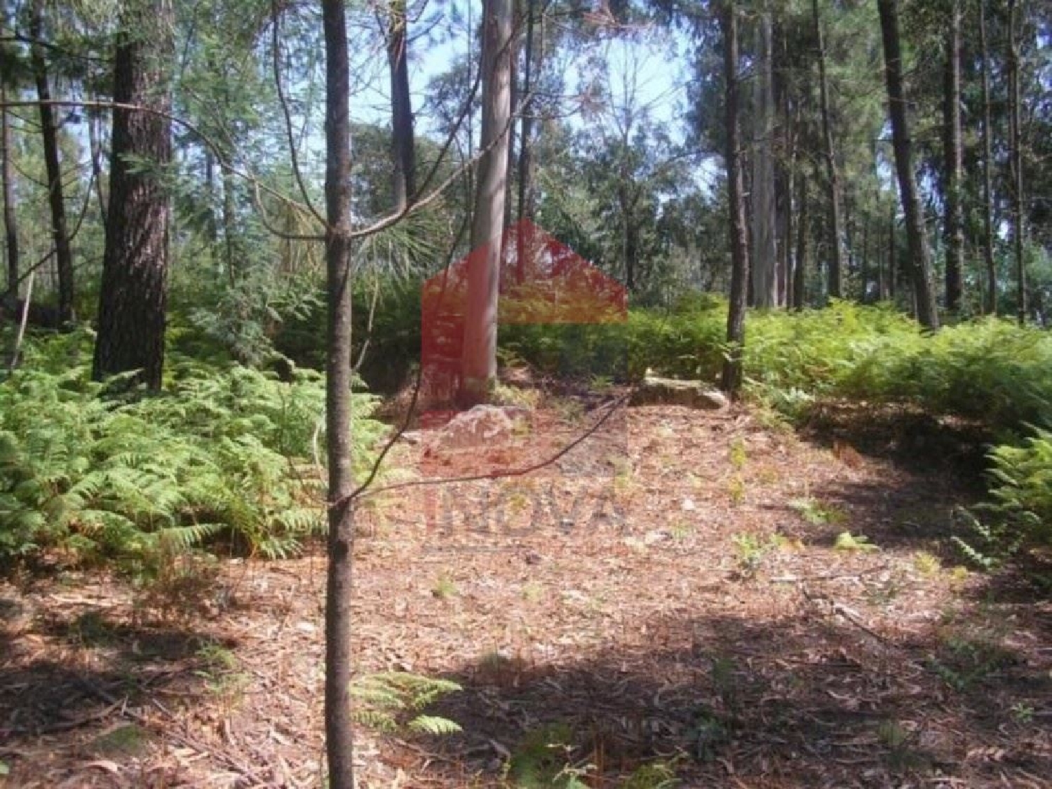te koop terrein Cervães Vila Verde 2
