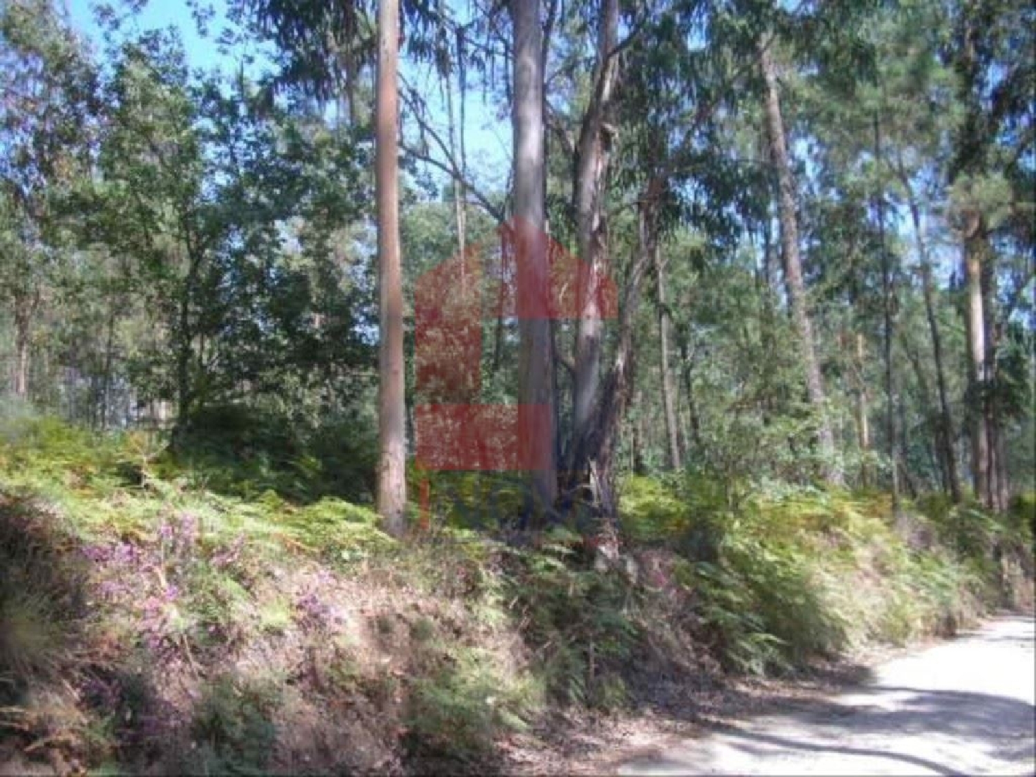 te koop terrein Cervães Vila Verde 3