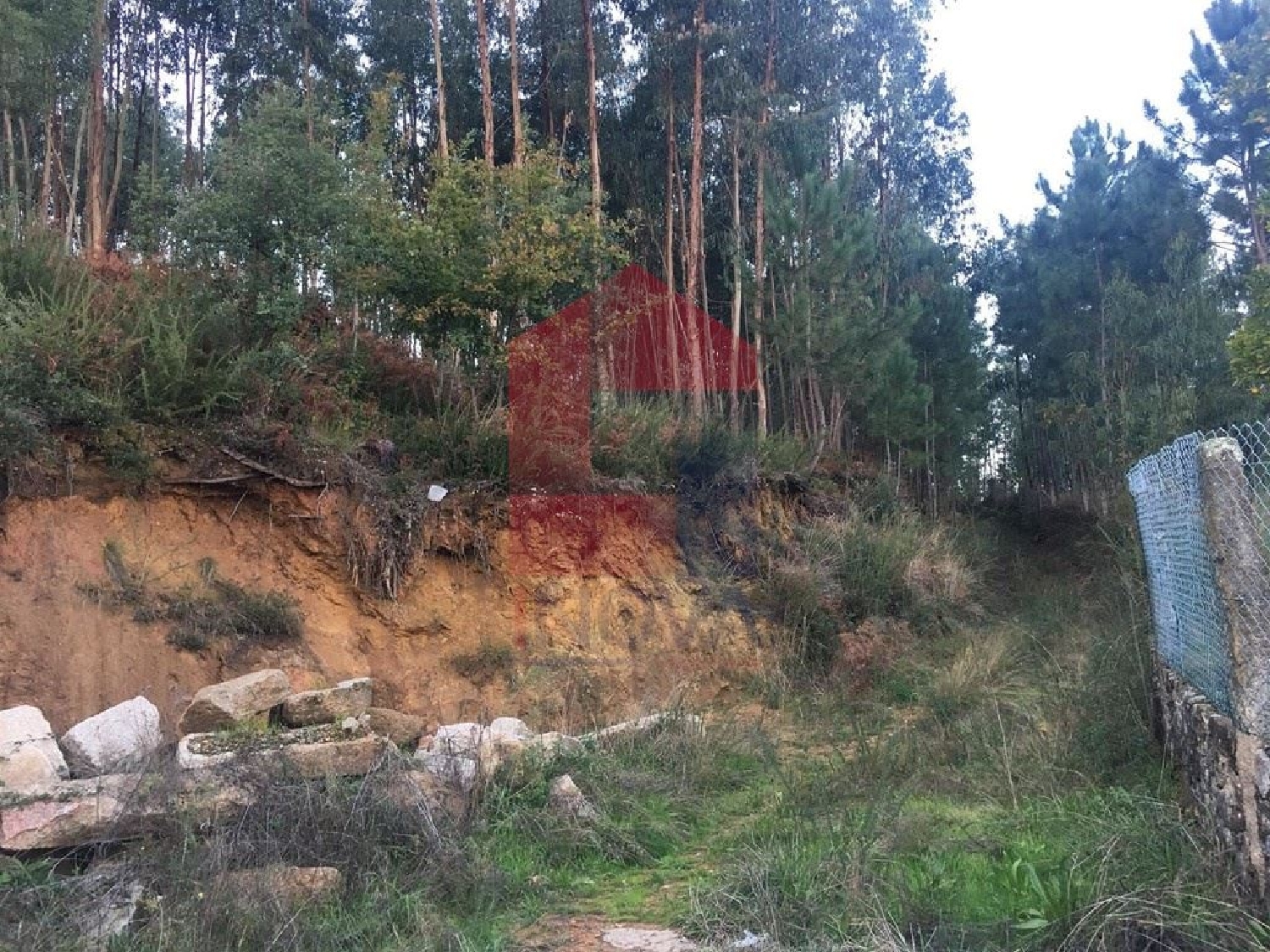  for sale terrain Cervães Vila Verde 1