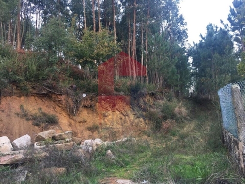 Cervães Vila Verde terrain foto 326067