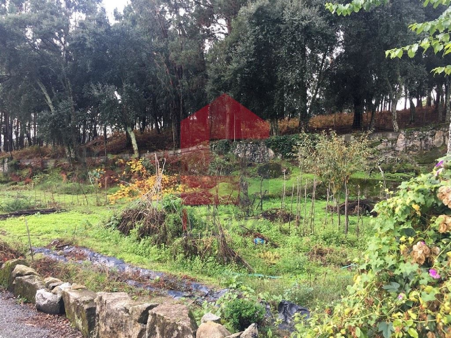 for sale terrain Cervães Vila Verde 3