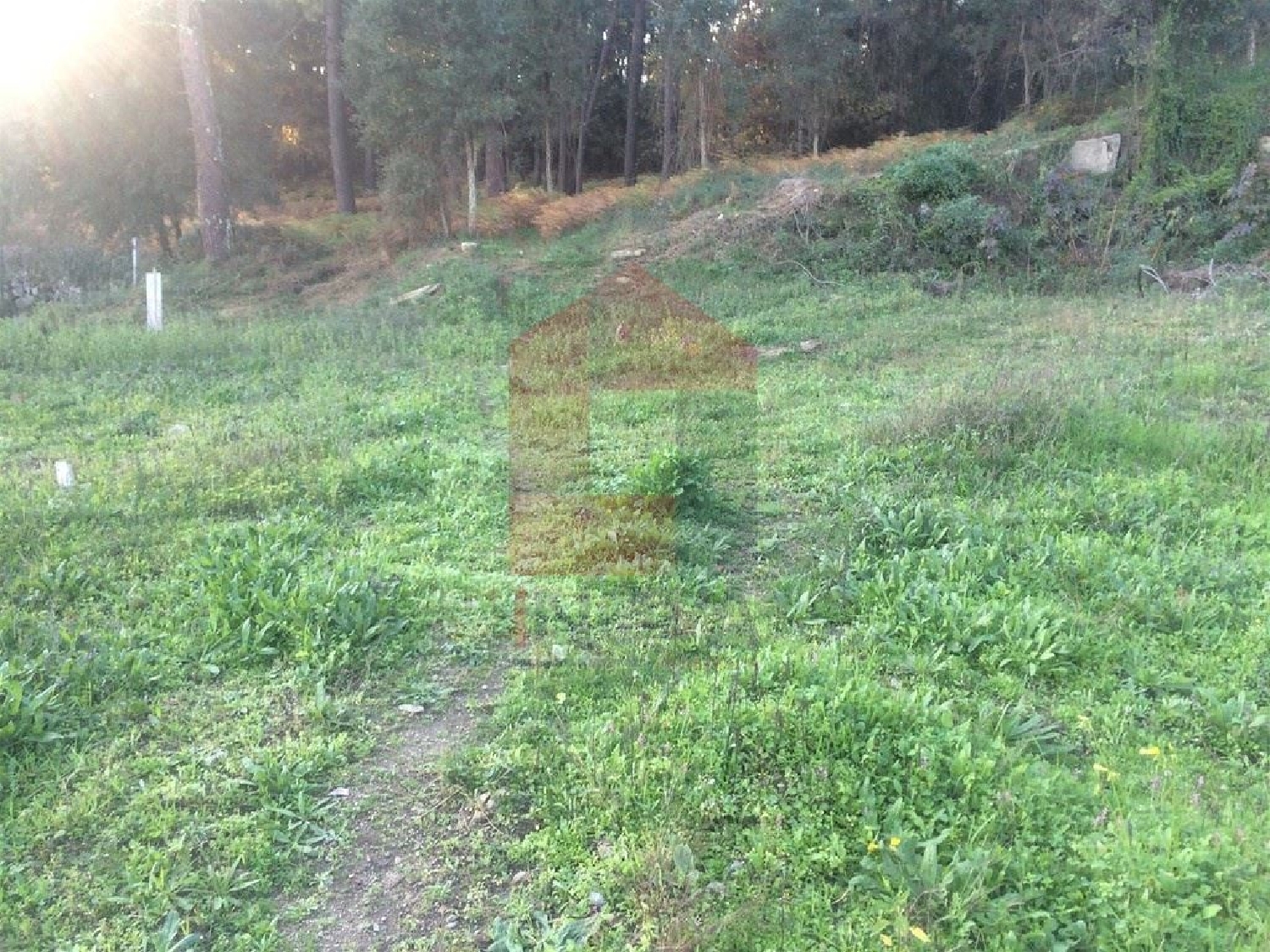  te koop terrein Cervães Vila Verde 1