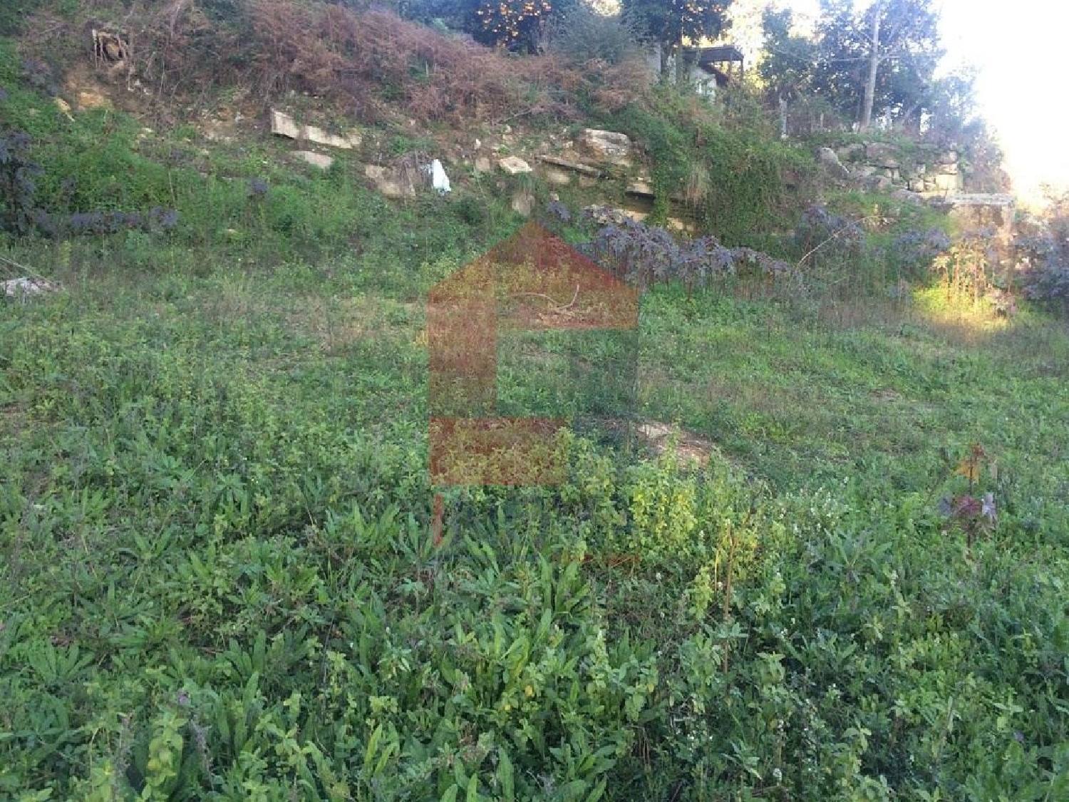 te koop terrein Cervães Vila Verde 2