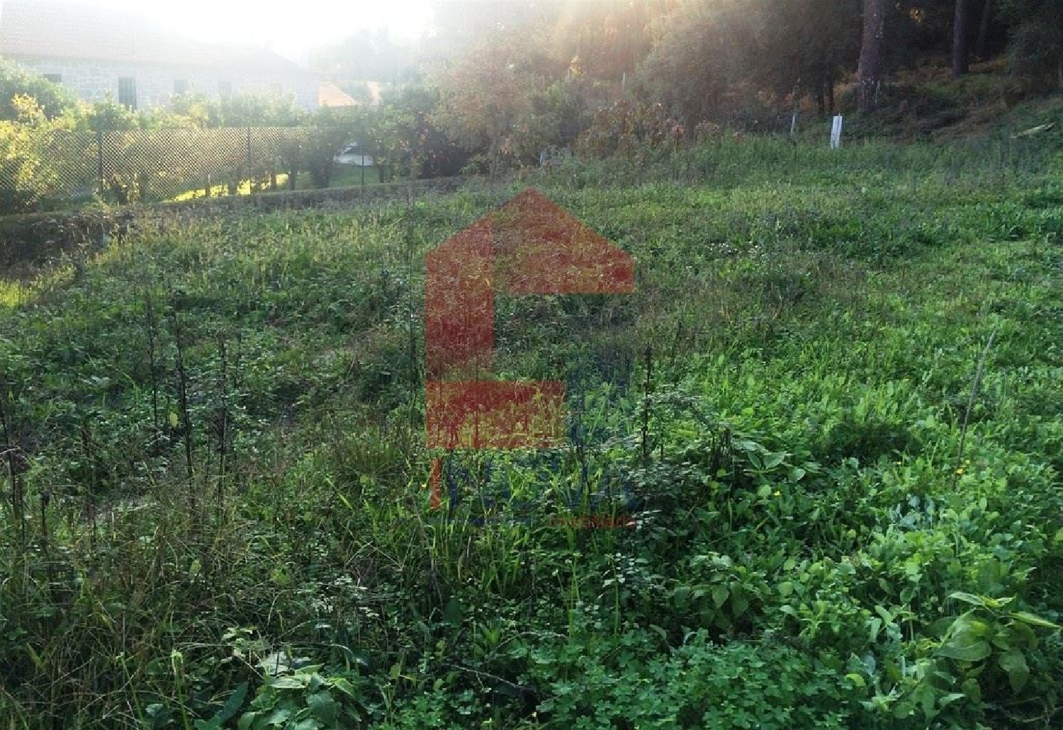 te koop terrein Cervães Vila Verde 3