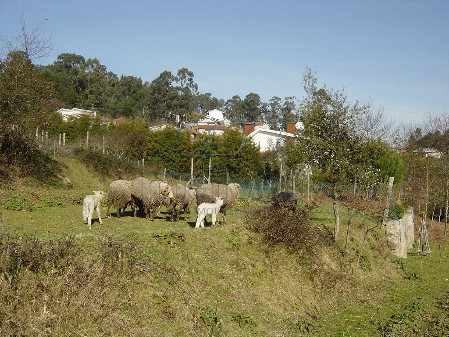  for sale terrain Cete Paredes 1