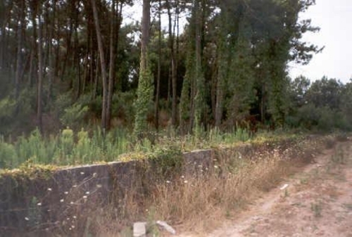 Chafé Viana Do Castelo terrein foto 320014