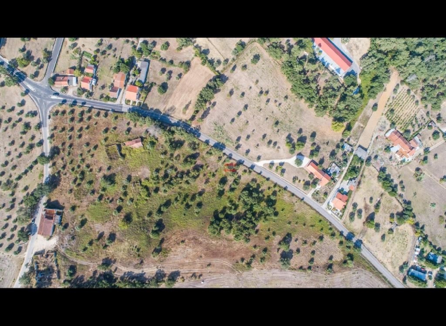  à vendre terrain Chão das Maias Tomar 1
