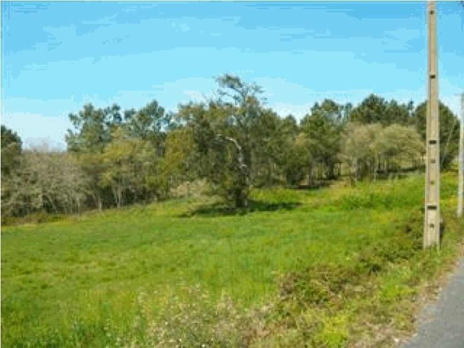  for sale terrain Cheleiros Mafra 1