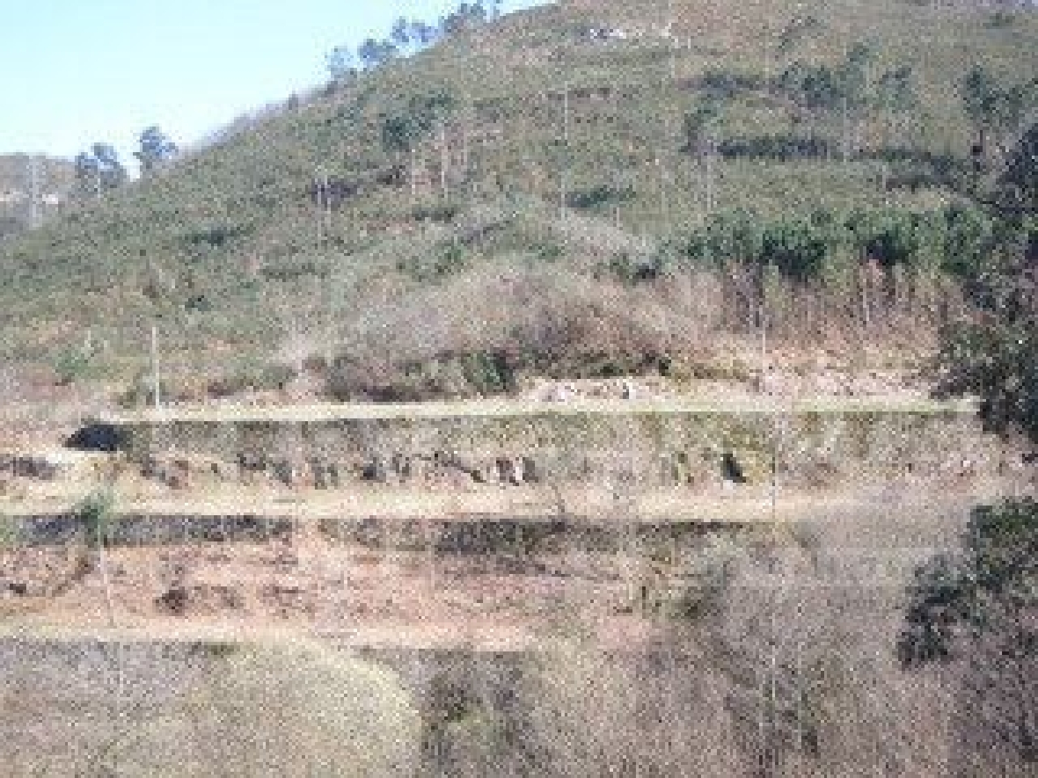  te koop terrein Cinfães Cinfães 3