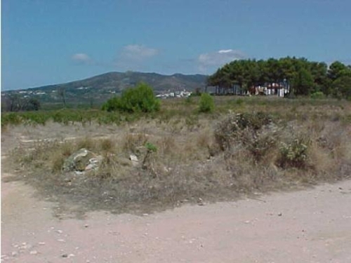 Colares Sintra terrein foto 324928