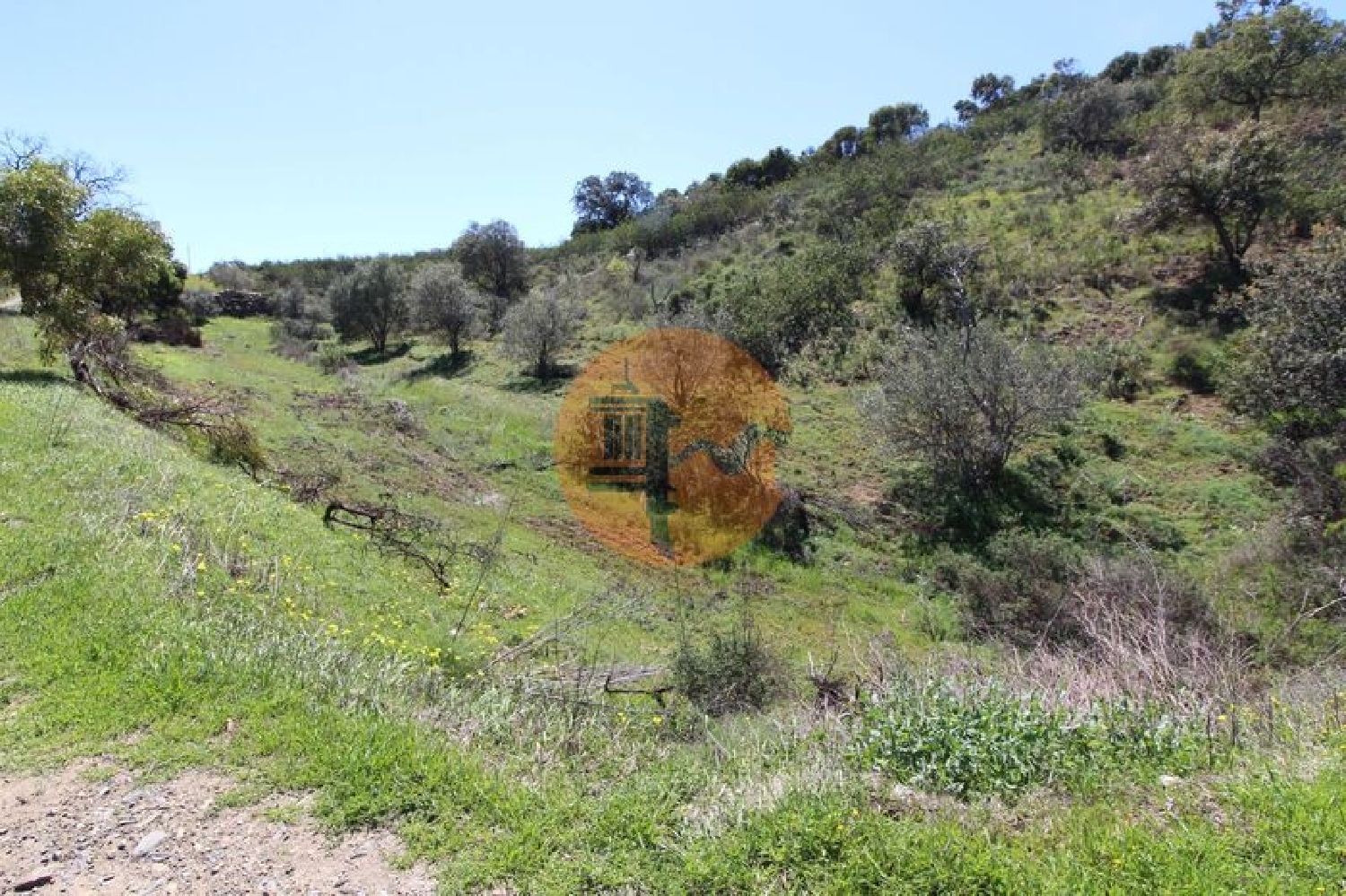  à venda terreno Conceição Faro 6