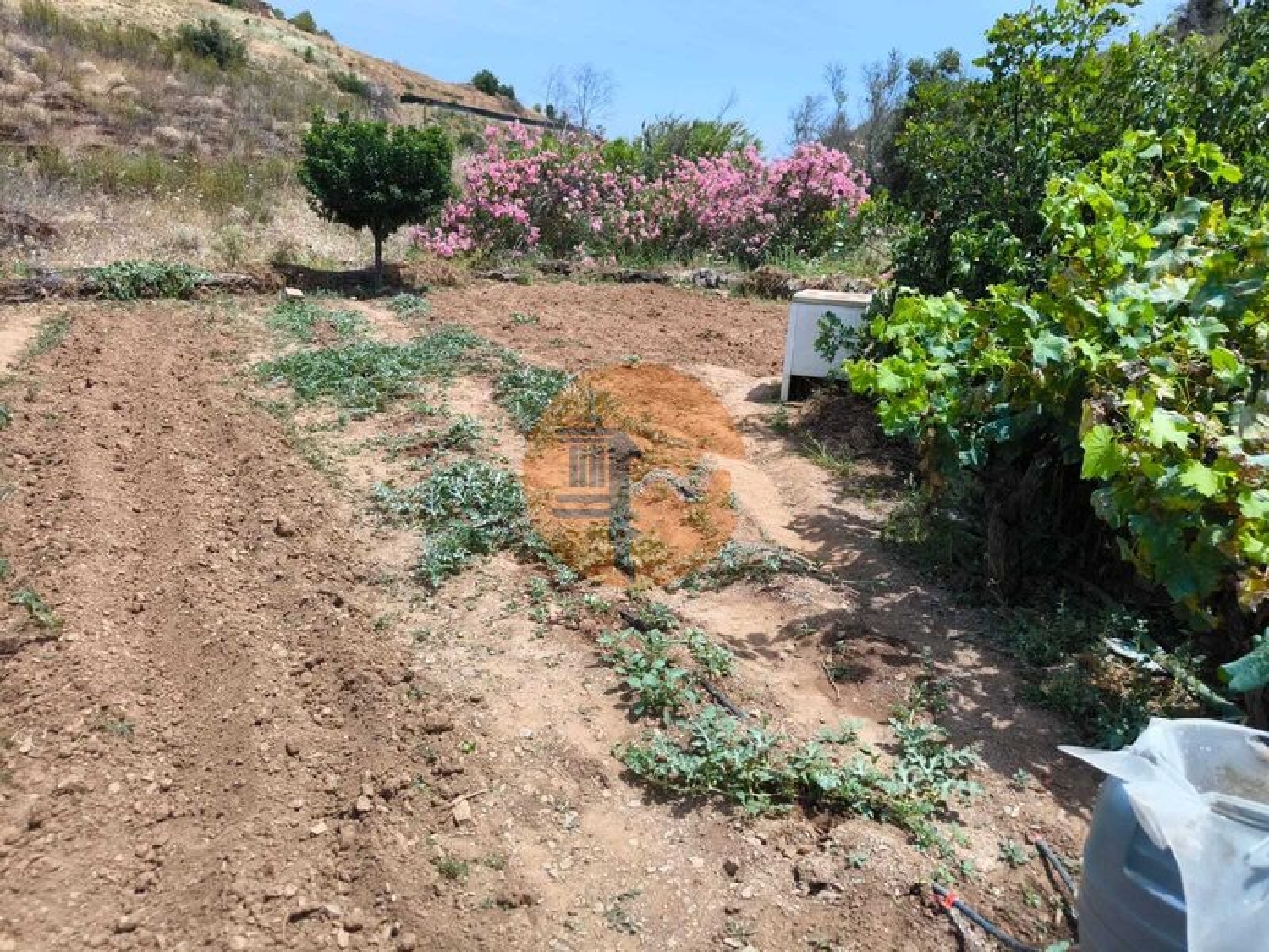  à vendre terrain Conceição Faro 2