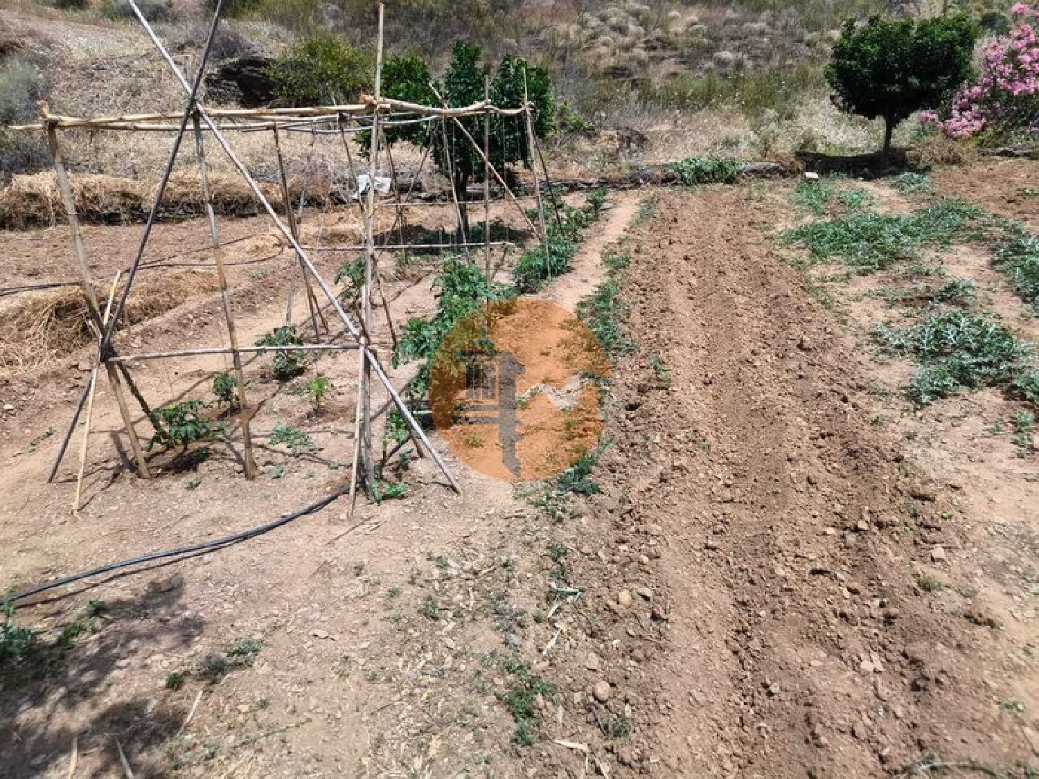  à vendre terrain Conceição Faro 3