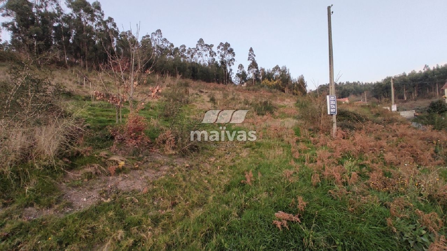 köpa tomt Correlhã Ponte De Lima 2