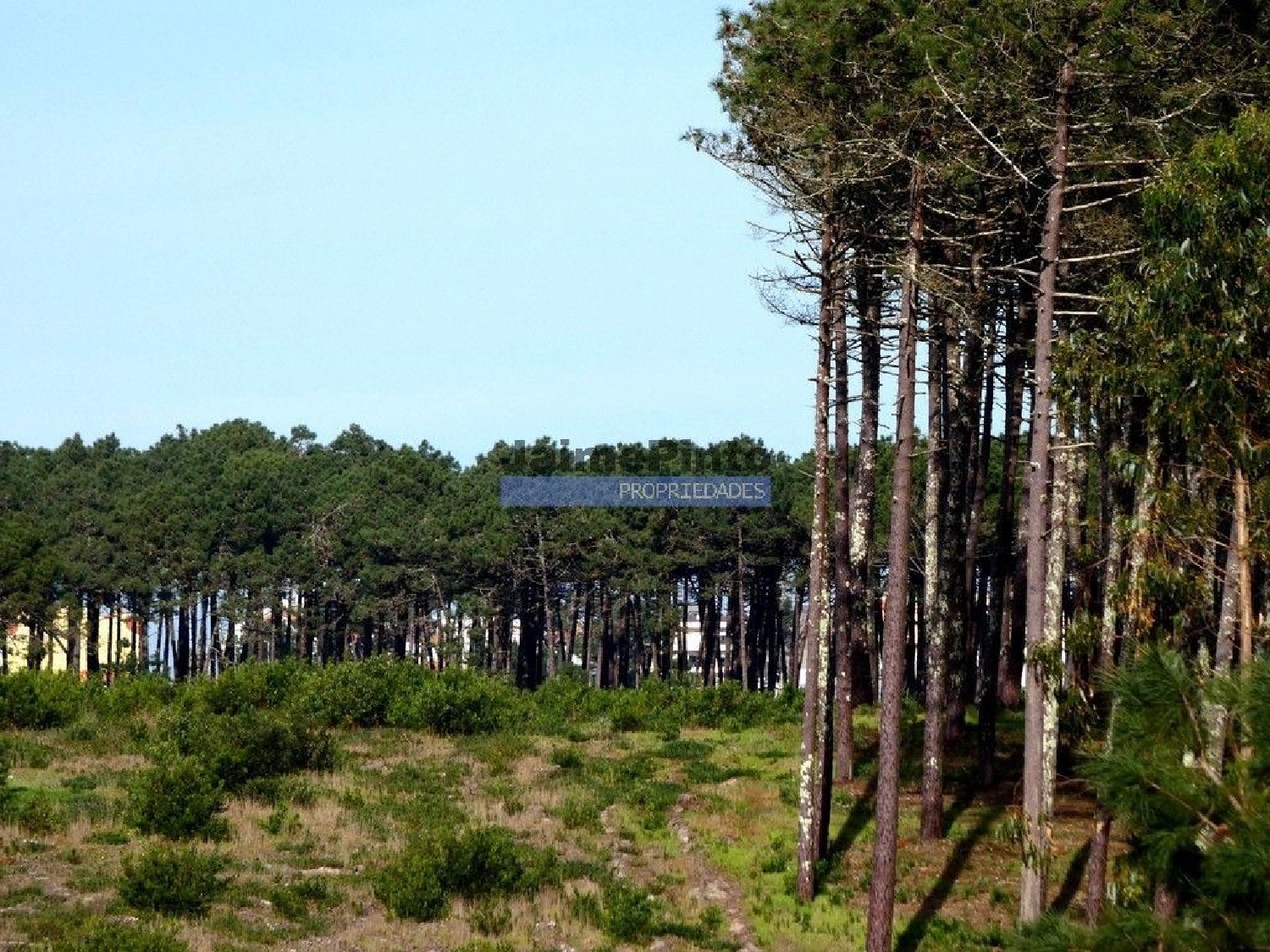 te koop terrein Cortegaça Ovar 2