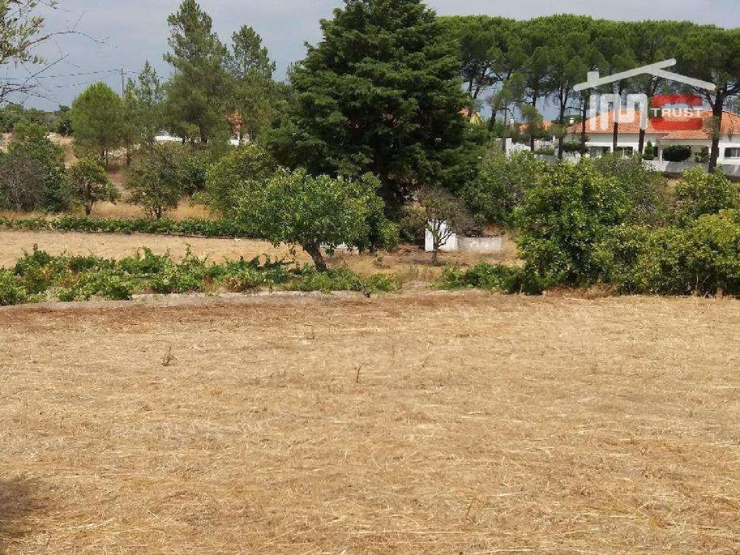 te koop terrein Coruche Coruche 3
