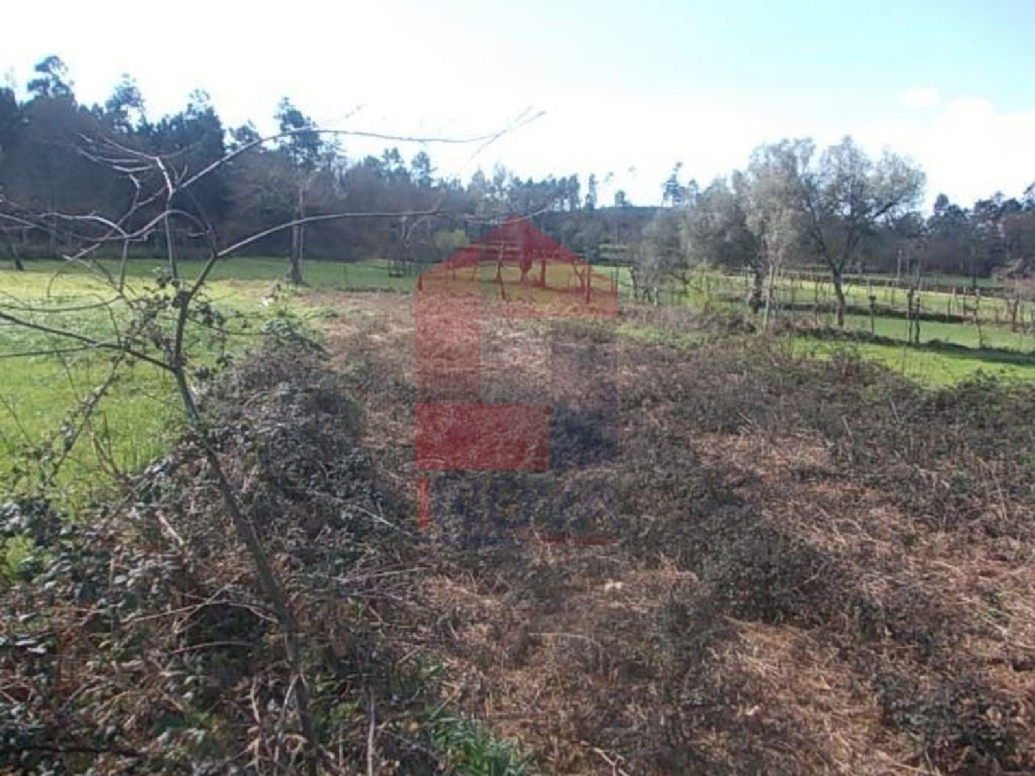 kaufen Grundstück Coucieiro Vila Verde 2
