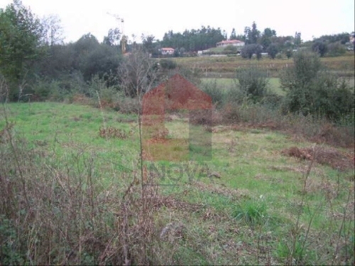 Coucieiro Vila Verde terrein foto 325872