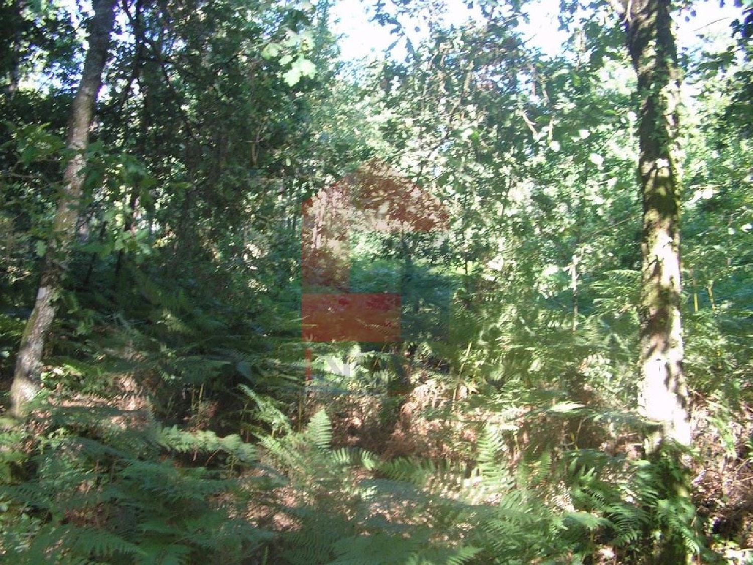 à vendre terrain Coucieiro Vila Verde 3