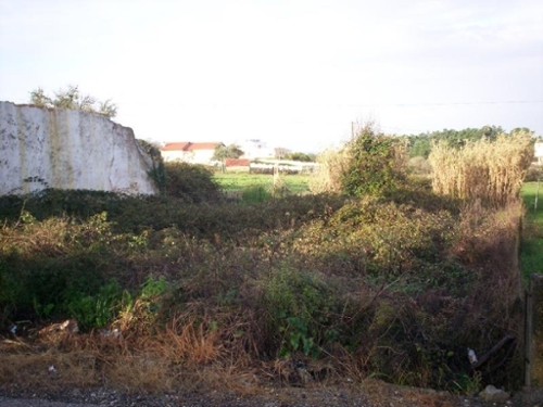 Feteira de Cima Figueira Da Foz terrain foto 319244
