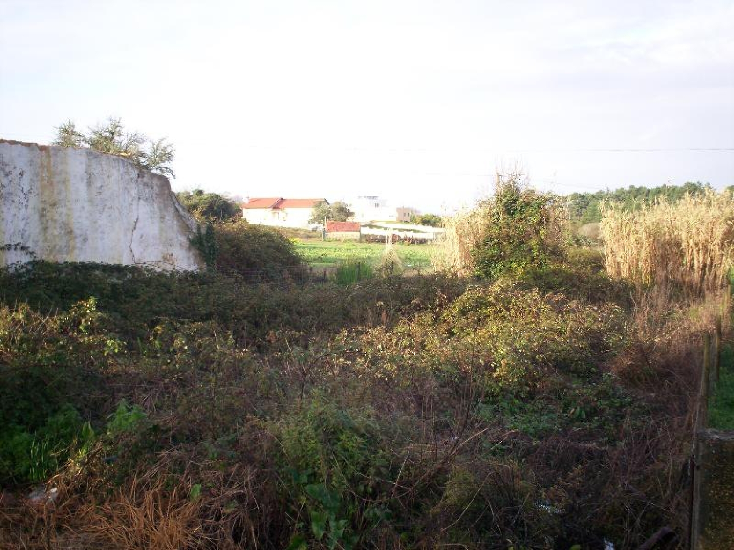 à vendre terrain Feteira de Cima Figueira Da Foz 3
