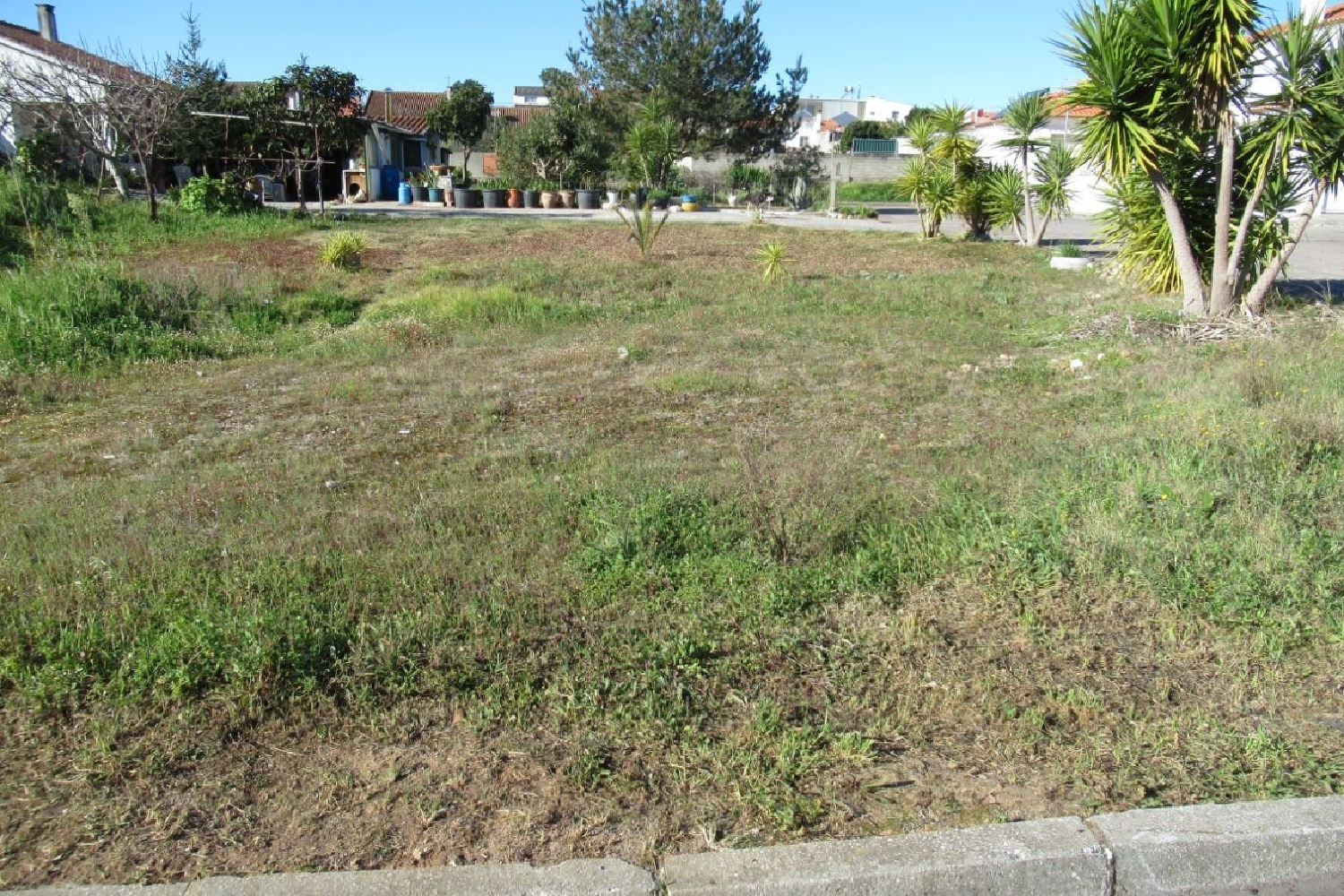 à venda terreno Covões de Baixo Entroncamento 2