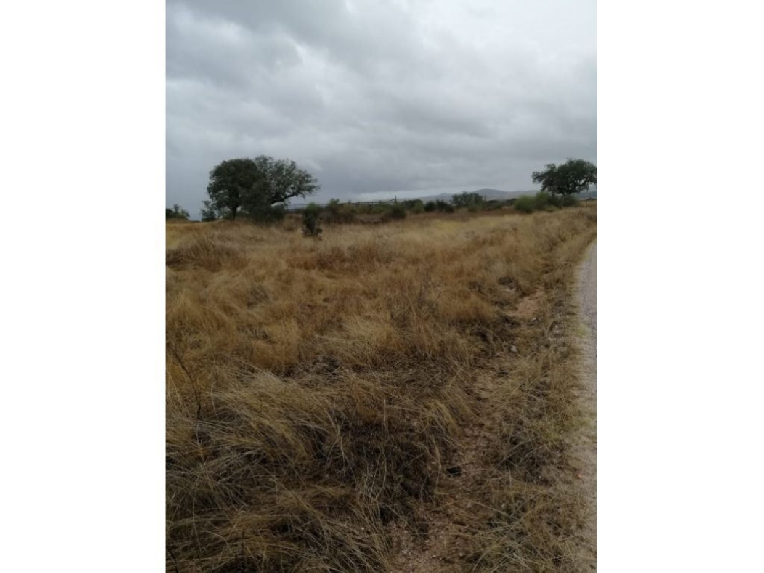  te koop terrein Crato Crato 3