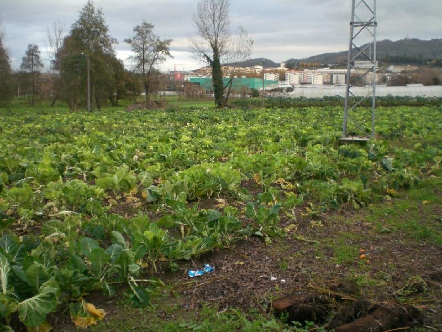 te koop terrein Creixomil Barcelos 2