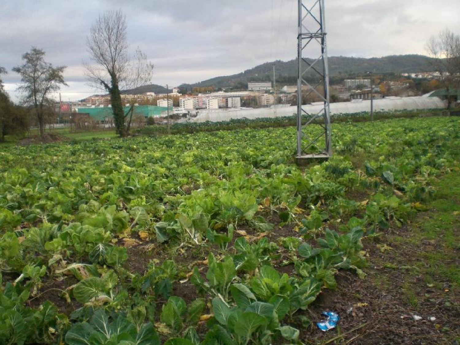 te koop terrein Creixomil Barcelos 3