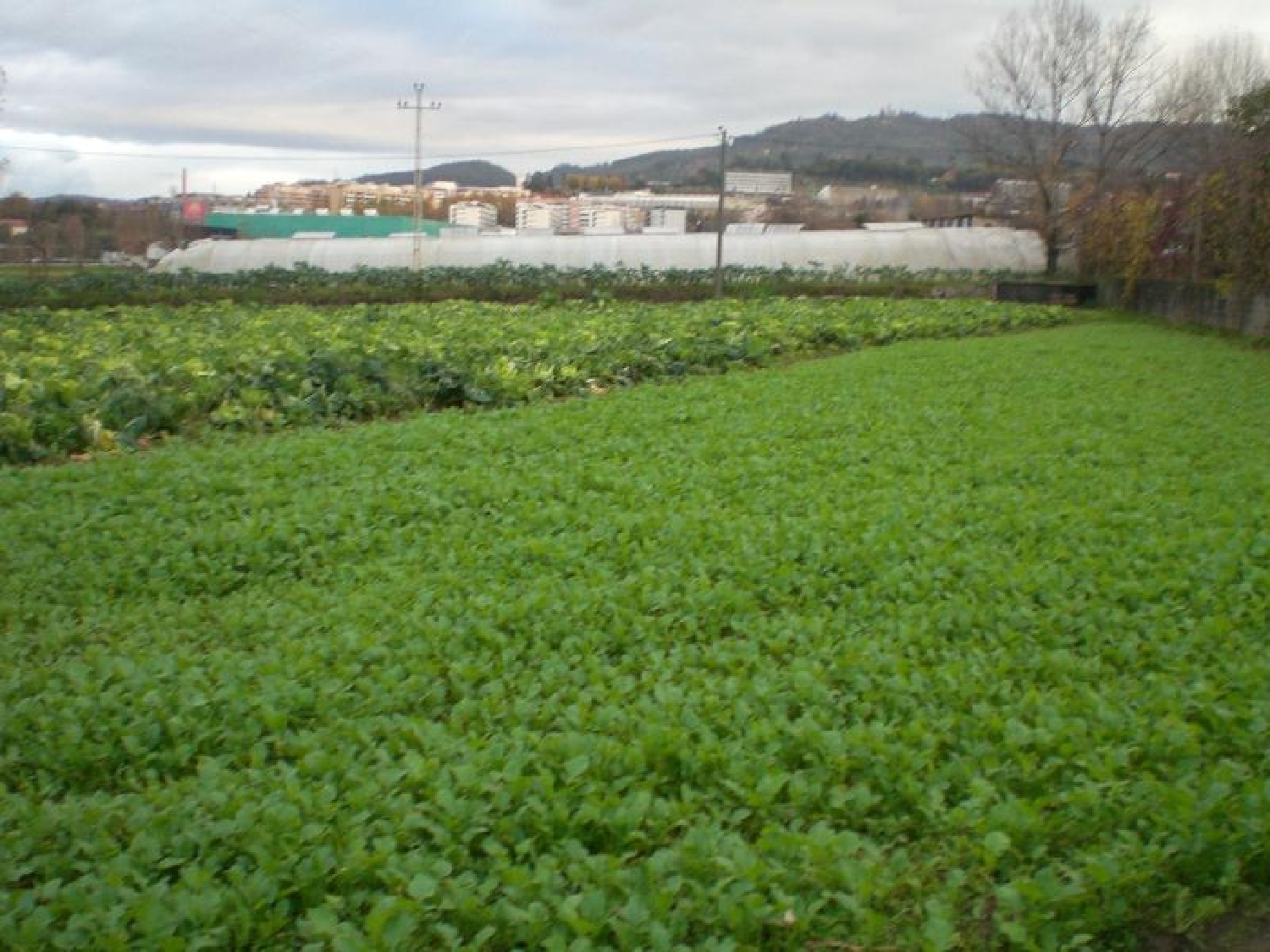  te koop terrein Creixomil Barcelos 1