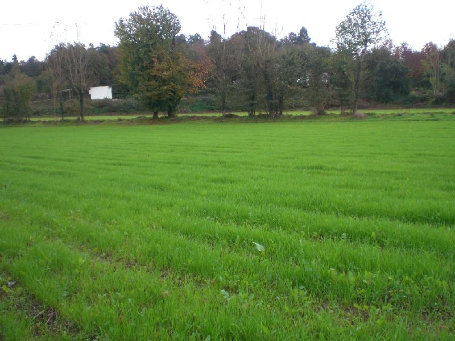 te koop terrein Creixomil Barcelos 3