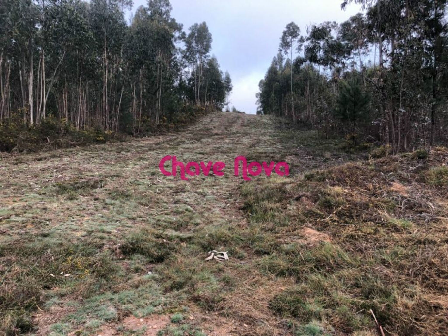 te koop terrein Crestuma Vila Nova De Gaia 2