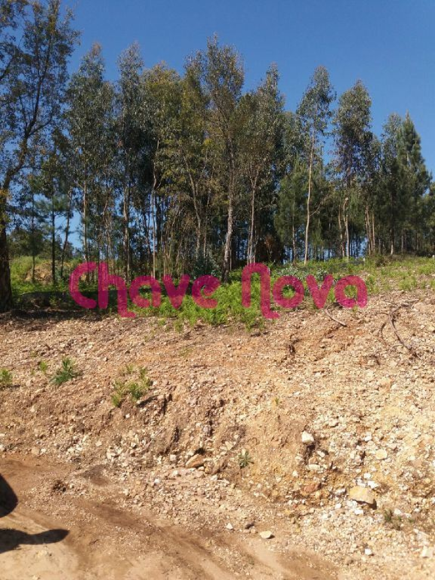 en venta terreno Crestuma Vila Nova De Gaia 2