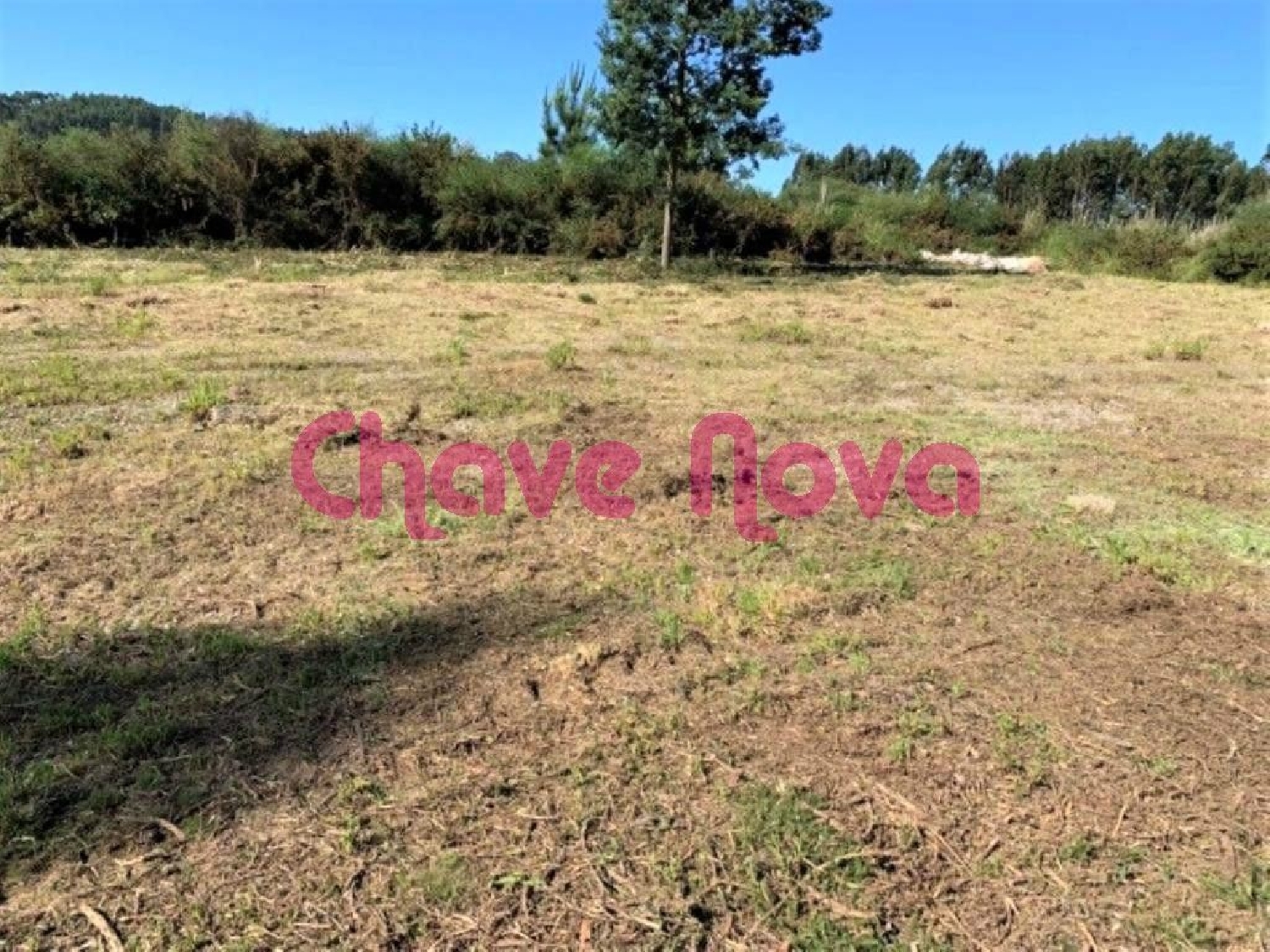  en venta terreno Crestuma Vila Nova De Gaia 1