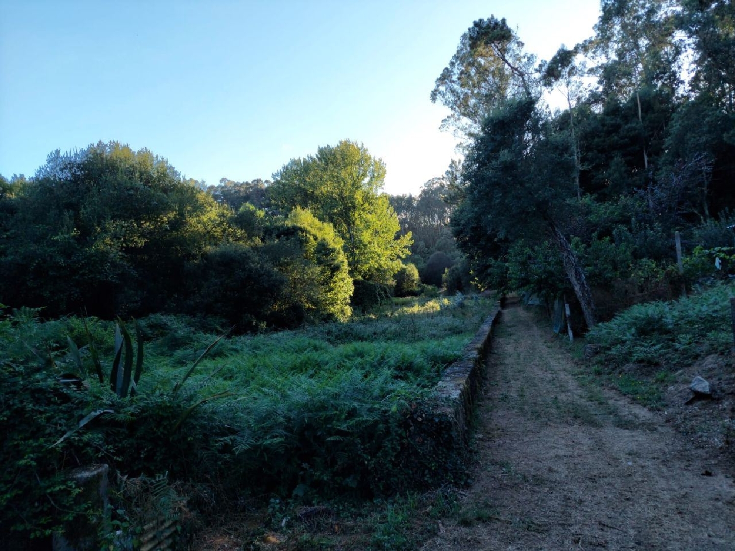 à vendre terrain Crestuma Vila Nova De Gaia 2