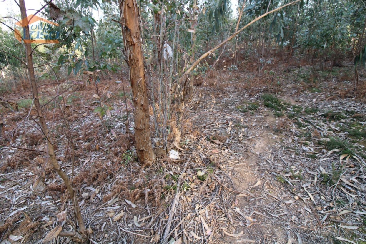 for sale terrain Crestuma Vila Nova De Gaia 3