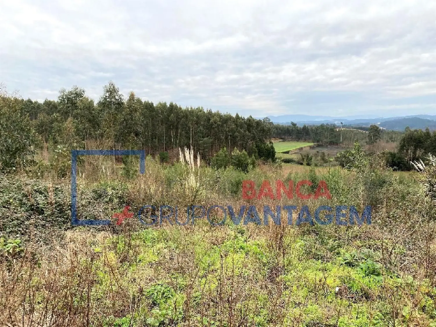 for sale terrain Crestuma Vila Nova De Gaia 3