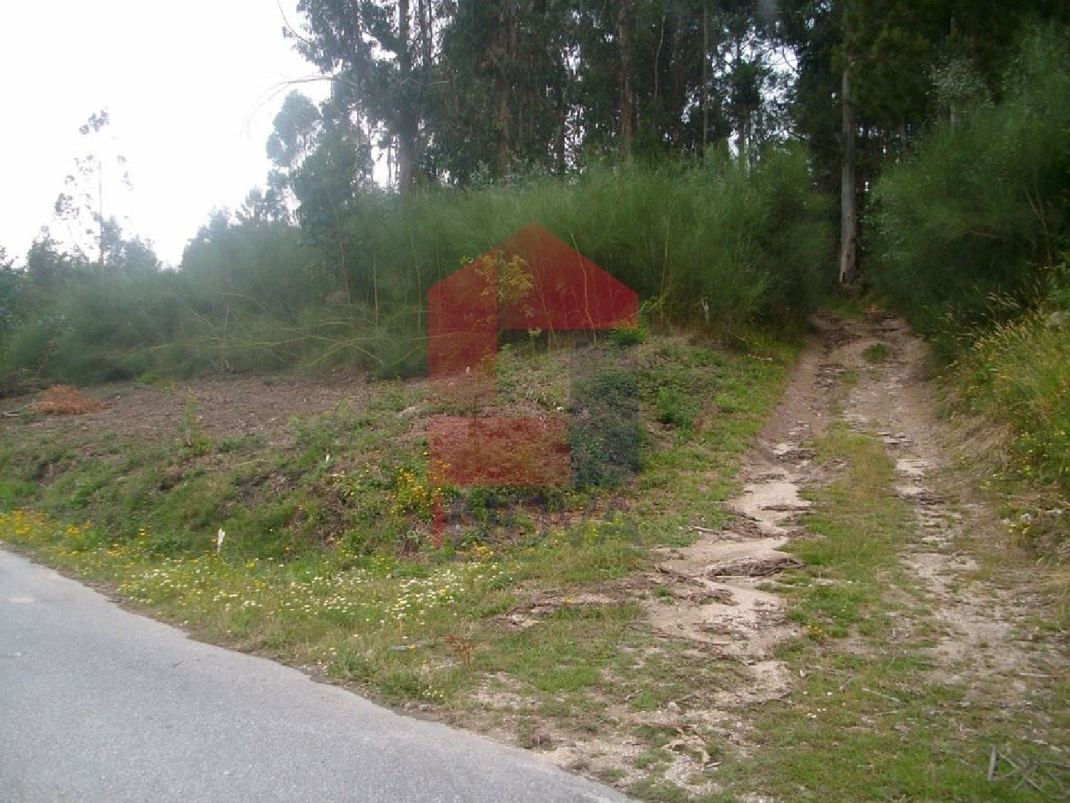  à venda terreno Cruzeiro Vila Verde 1