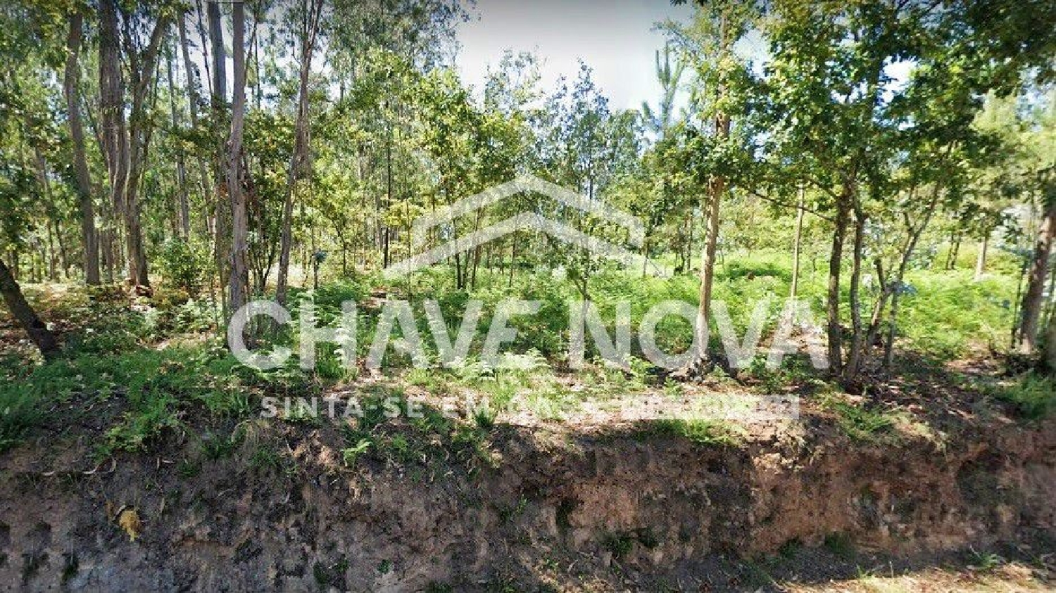  en venta terreno Cucujães Oliveira De Azeméis 1