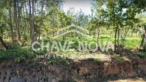 Cucujães Oliveira De Azeméis terreno foto 322056