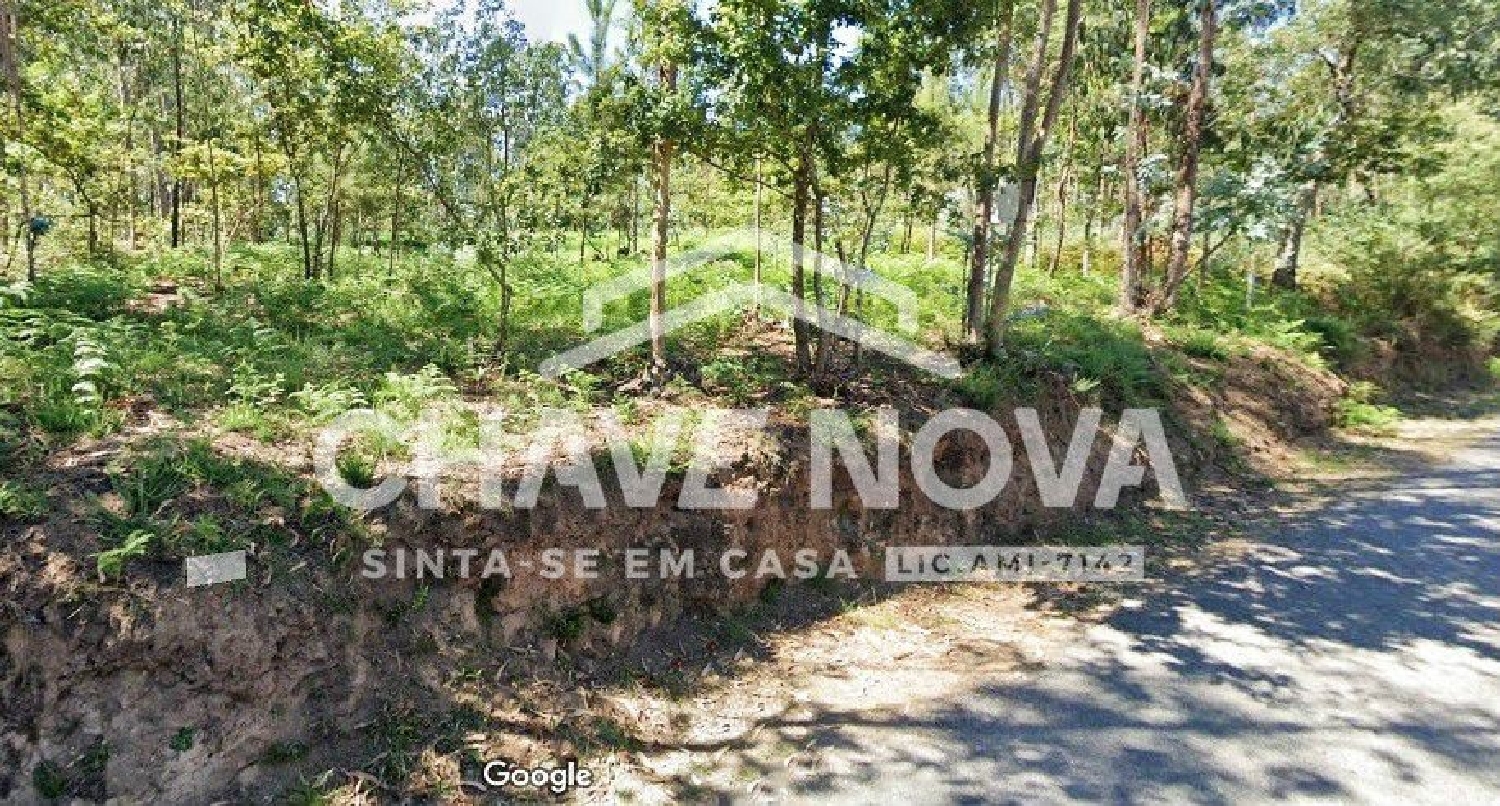  en venta terreno Cucujães Oliveira De Azeméis 2